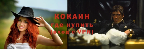 соль ск Алексин