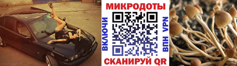 Галлюциногенные грибы MAGIC MUSHROOMS  дарнет шоп  Учалы 