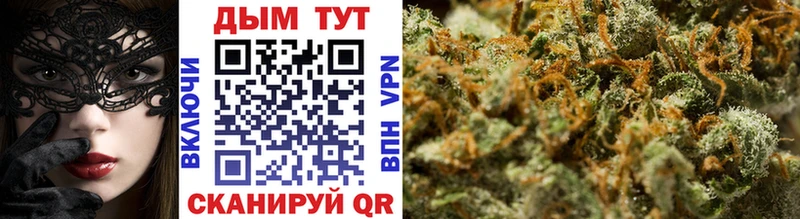 Бошки Шишки планчик  Учалы 